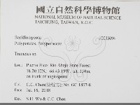 栓菌屬藏品圖，第2張