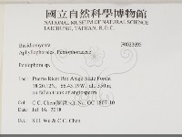 筍殼菌屬藏品圖，第2張
