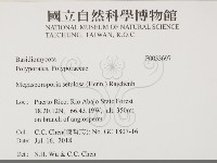 登錄號:F0033697藏品圖，第2張