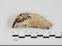 登錄號:F0033697藏品圖，第1張