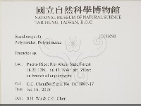 栓菌屬藏品圖，第2張