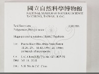登錄號:F0033699藏品圖，第2張