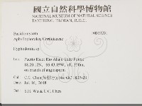 絲齒菌屬藏品圖，第2張