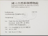 筍殼菌屬藏品圖，第2張