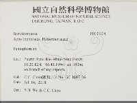 筍殼菌屬藏品圖，第2張