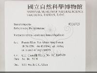 登錄號:F0033705藏品圖，第2張