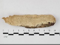 登錄號:F0033705藏品圖，第1張