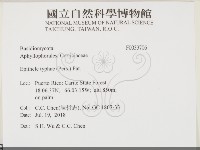 登錄號:F0033706藏品圖，第2張