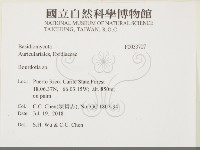 登錄號:F0033707藏品圖，第2張