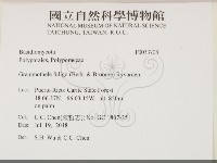 登錄號:F0033708藏品圖，第2張
