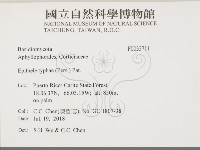 登錄號:F0033711藏品圖，第2張