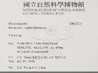 登錄號:F0033713藏品圖，第2張