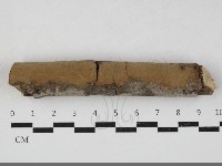 登錄號:F0033713藏品圖，第1張