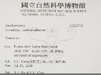 登錄號:F0033714藏品圖，第2張