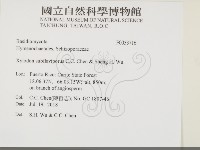 登錄號:F0033716藏品圖，第2張