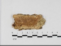 登錄號:F0033716藏品圖，第1張