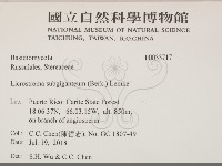 登錄號:F0033717藏品圖，第2張