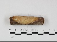 登錄號:F0033717藏品圖，第1張