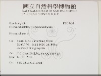 刺革菌屬藏品圖，第2張