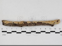 登錄號:F0033721藏品圖，第1張