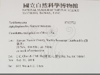 登錄號:F0033723藏品圖，第2張