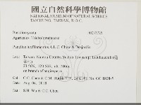 登錄號:F0033725藏品圖，第2張