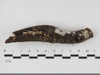 登錄號:F0033725藏品圖，第1張
