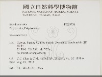 骨皮菌屬藏品圖，第2張