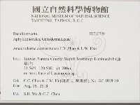 登錄號:F0033729藏品圖，第2張