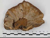 登錄號:F0033729藏品圖，第3張