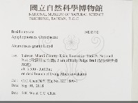 登錄號:F0033730藏品圖，第2張