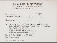 寡孔菌屬藏品圖，第2張