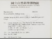 登錄號:F0033734藏品圖，第2張