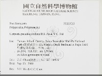 登錄號:F0033735藏品圖，第2張