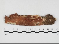 登錄號:F0033735藏品圖，第1張