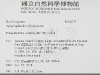 登錄號:F0033737藏品圖，第2張