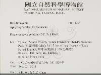 登錄號:F0033738藏品圖，第2張