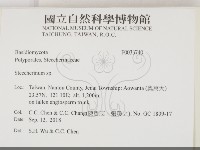 齒耳菌屬藏品圖，第2張