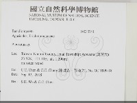 登錄號:F0033741藏品圖，第2張