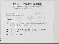 登錄號:F0033742藏品圖，第2張