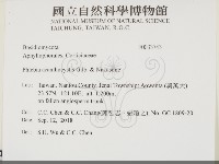 登錄號:F0033743藏品圖，第2張