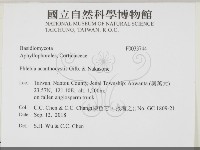 登錄號:F0033744藏品圖，第2張