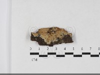 登錄號:F0033744藏品圖，第1張