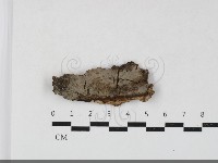 登錄號:F0033745藏品圖，第1張