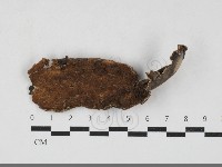 登錄號:F0033745藏品圖，第3張