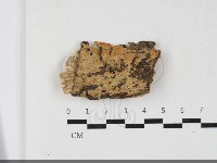 登錄號:F0033747藏品圖，第1張