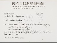 登錄號:F0033749藏品圖，第2張