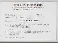 登錄號:F0033750藏品圖，第2張