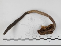 登錄號:F0033750藏品圖，第3張