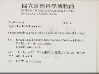 登錄號:F0033752藏品圖，第2張